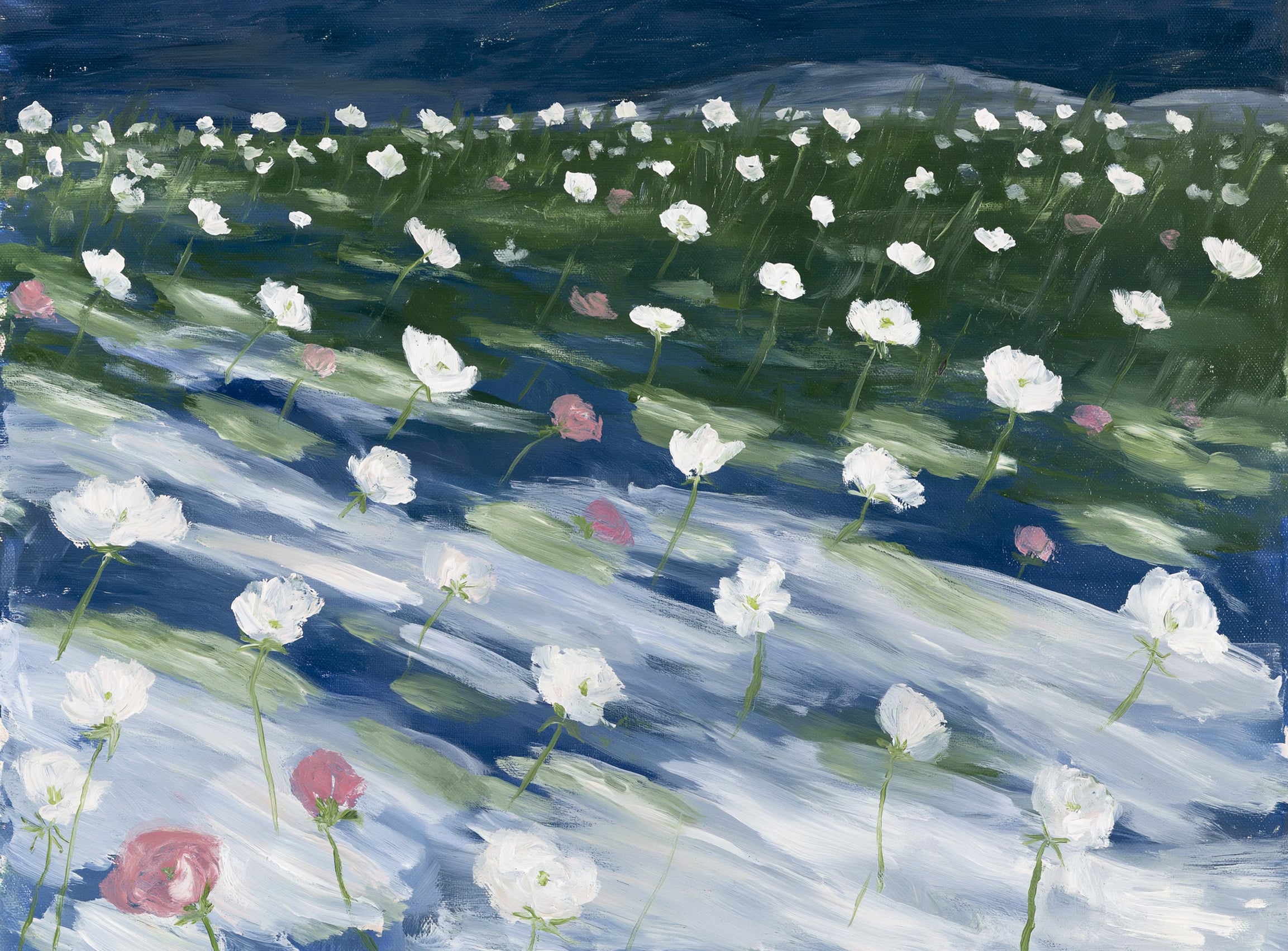 White flowers in wind streaks