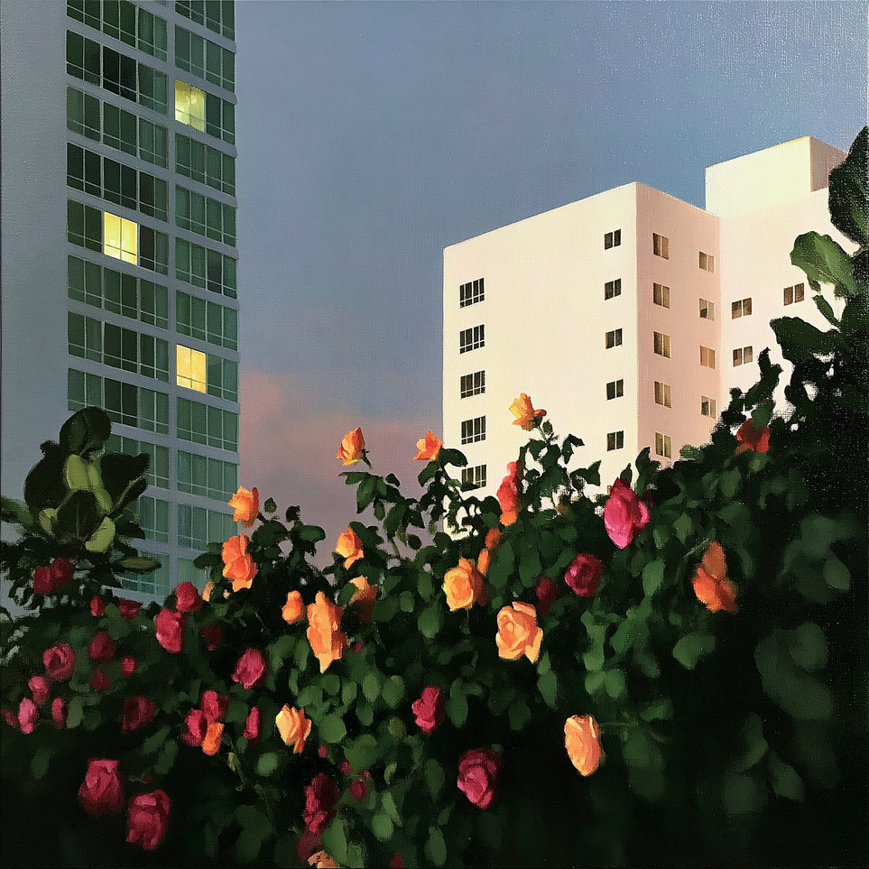 Roses below lit windows