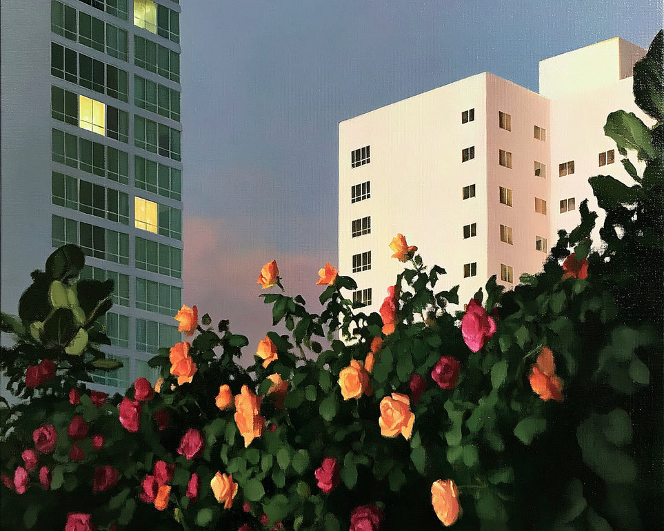 Roses below lit windows