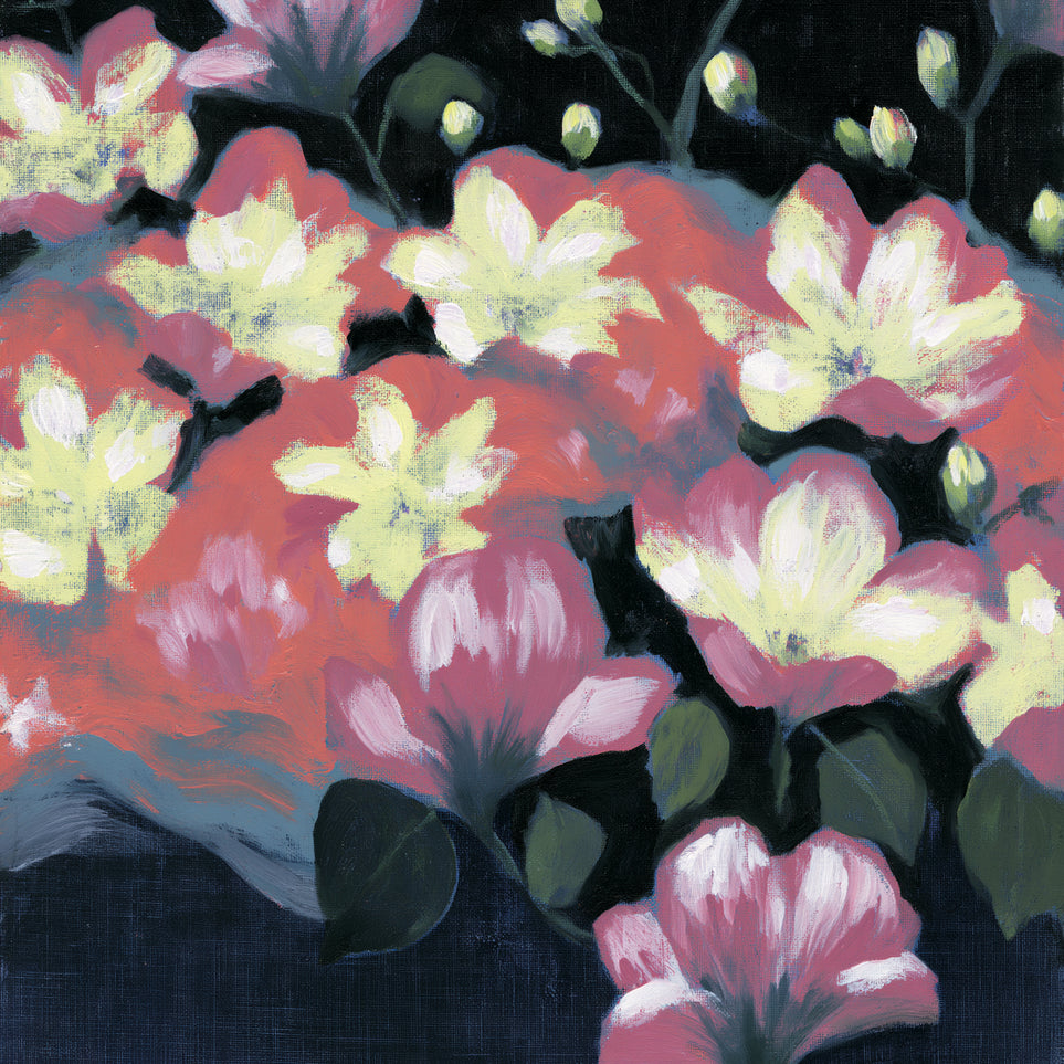 Flowers waking in the dark