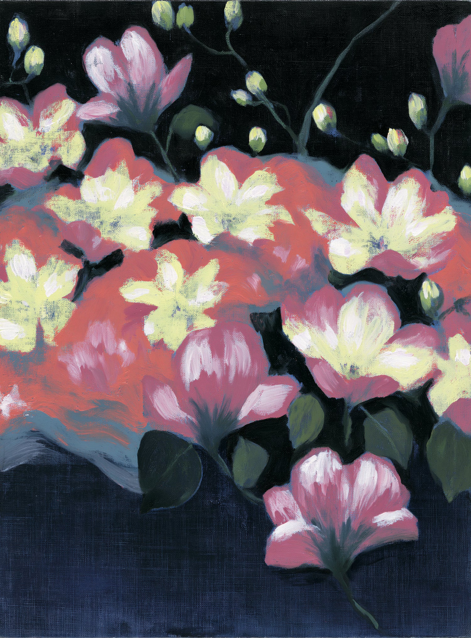 Flowers waking in the dark