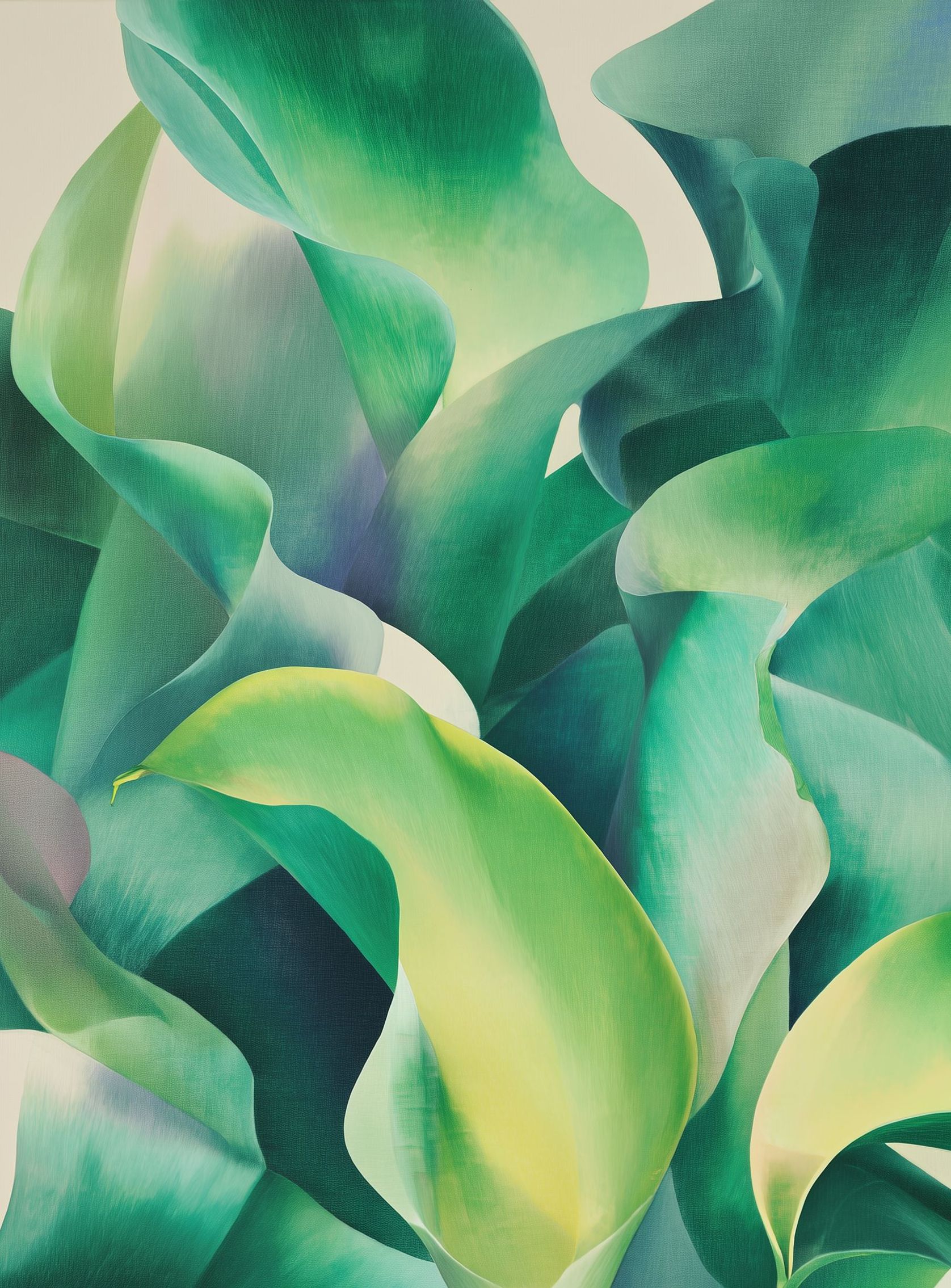 Calla lilies crowd the light