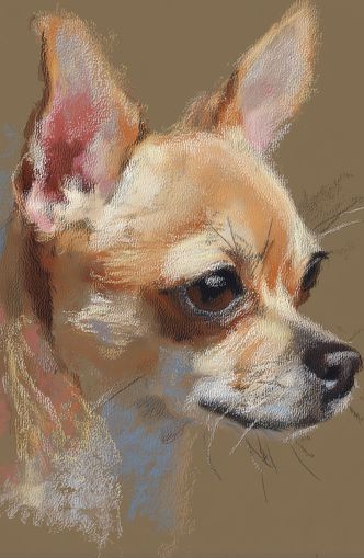 Pastel dog in profile