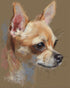 Pastel dog in profile