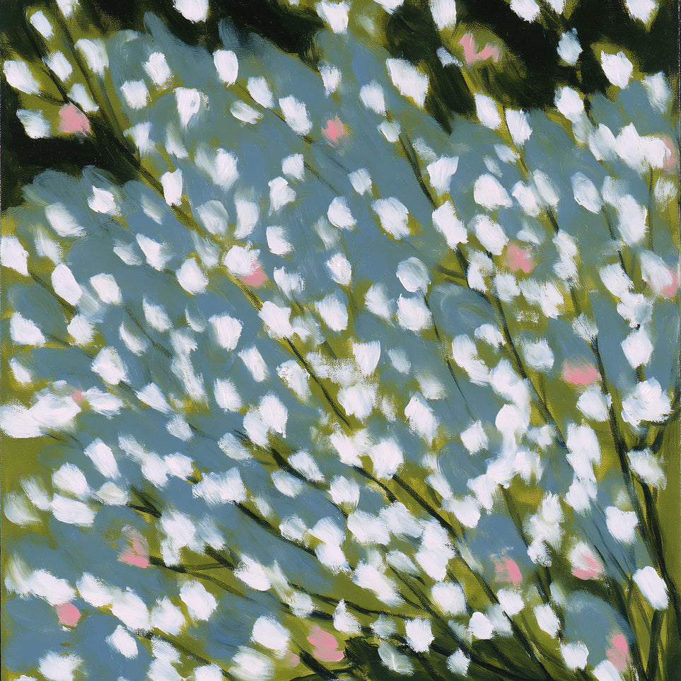 Pink breaks the white field