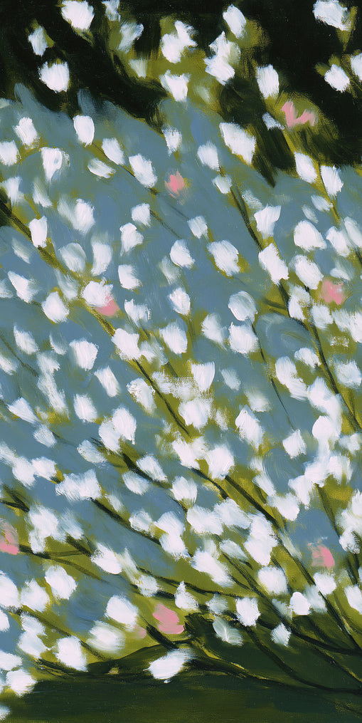 Pink breaks the white field