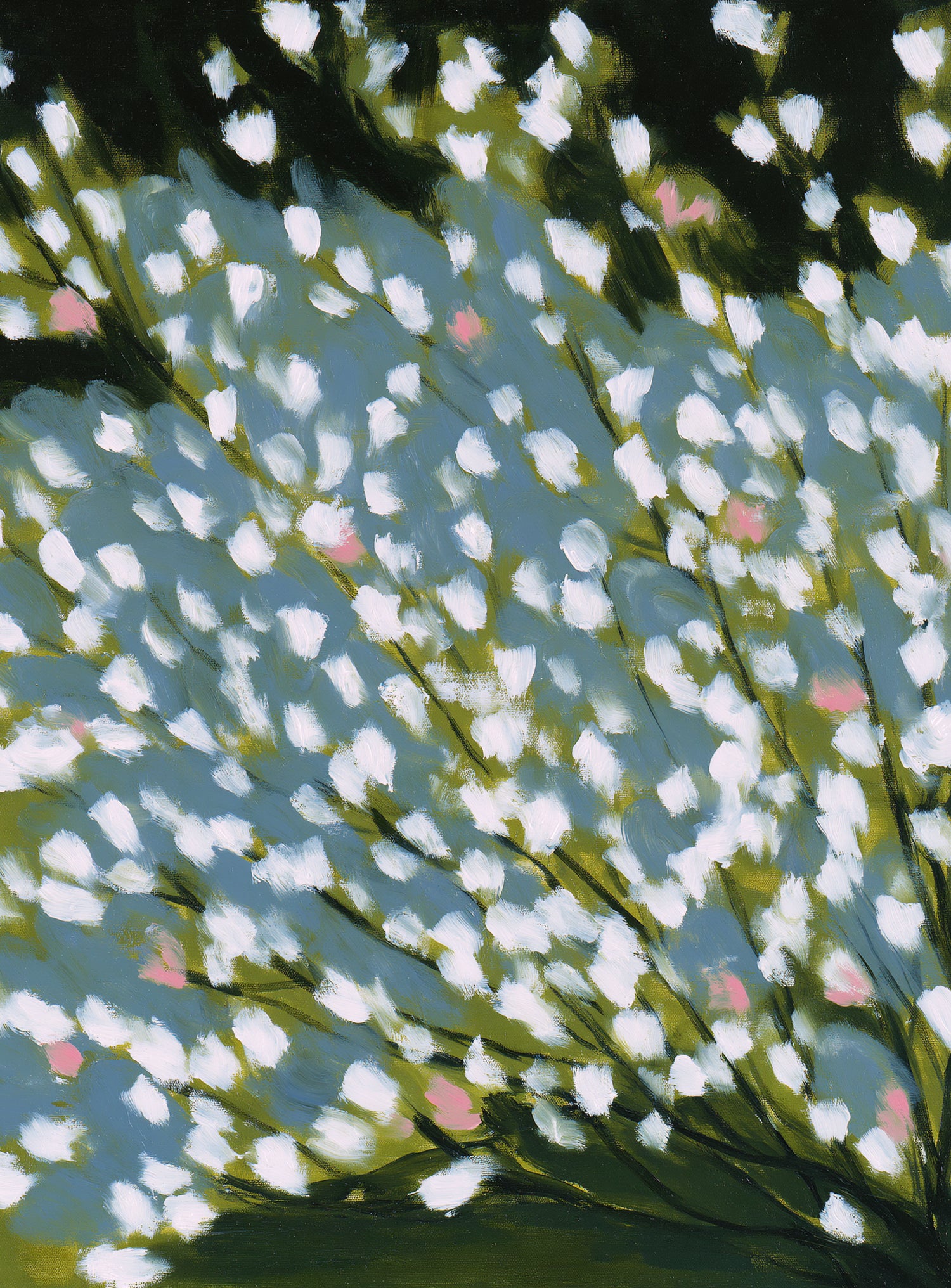 Pink breaks the white field
