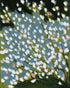 Pink breaks the white field