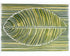 Palm frond in green bands