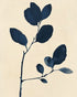 Ink leaves on bare stem