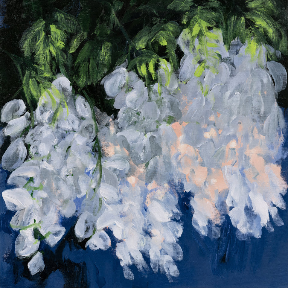 White blooms in blue shade
