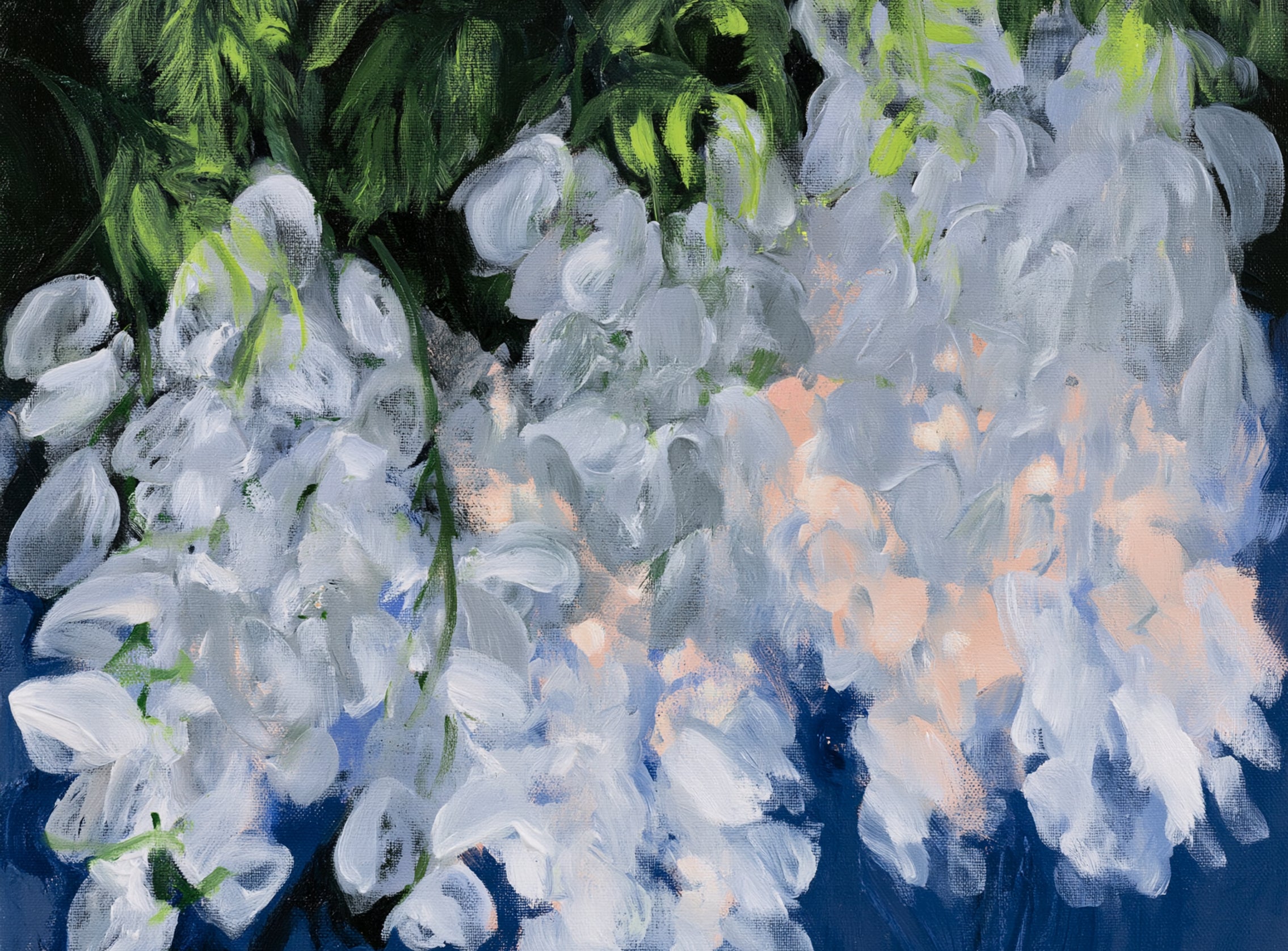 White blooms in blue shade