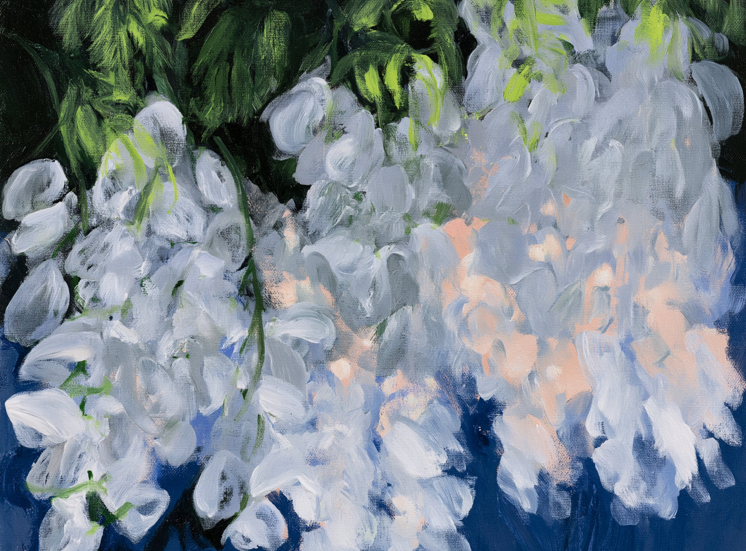 White blooms in blue shade