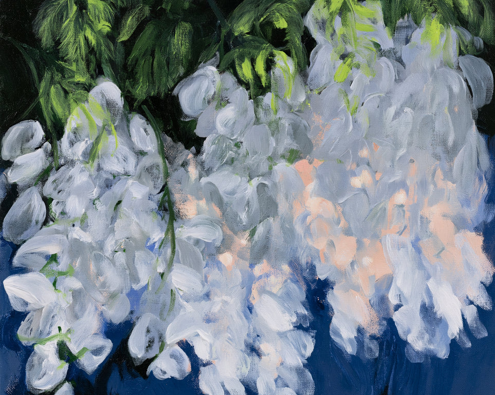White blooms in blue shade