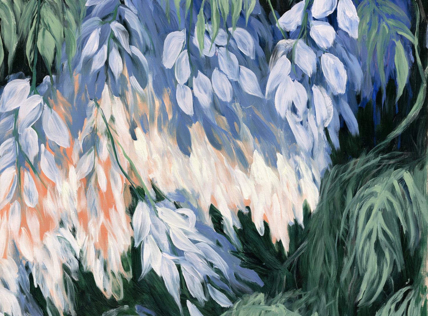 White blossoms in blue shade