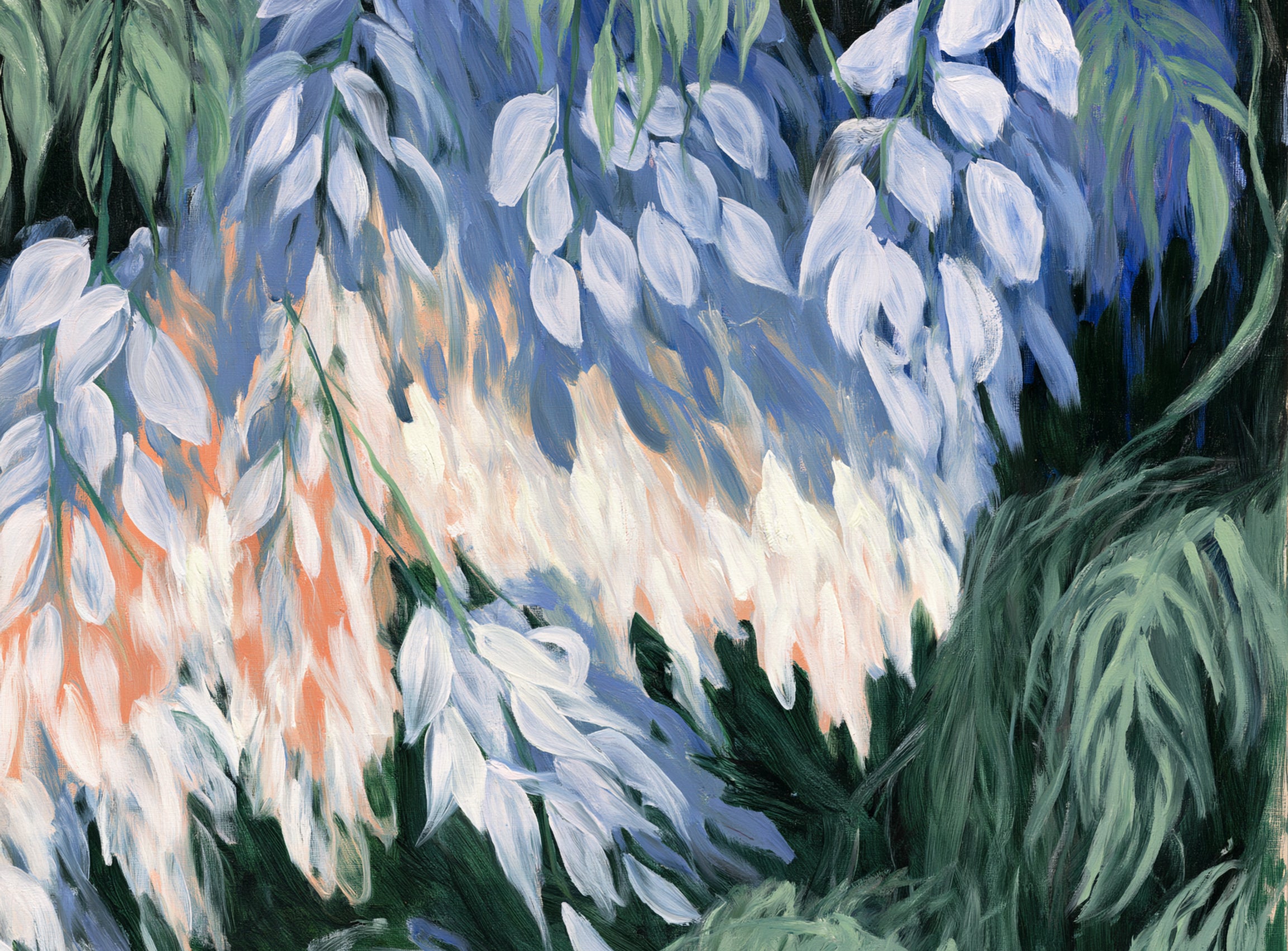 White blossoms in blue shade