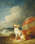 Red shade over seaside dog