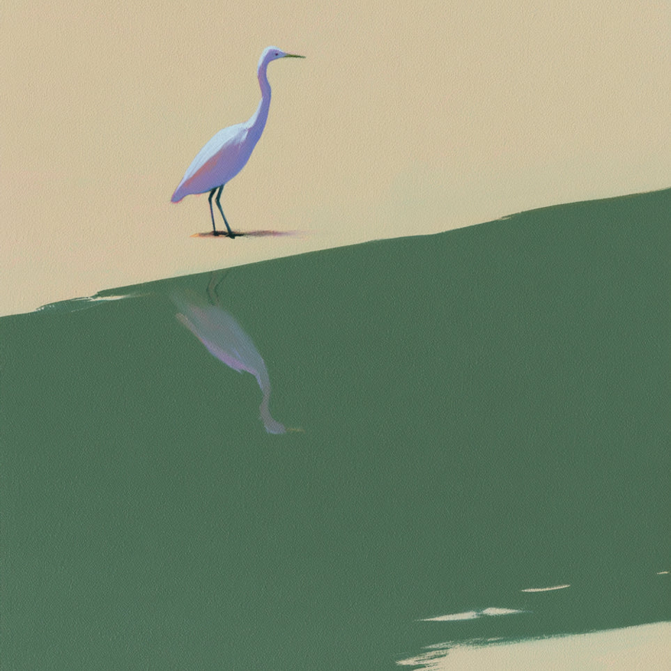 Where the egret doubles