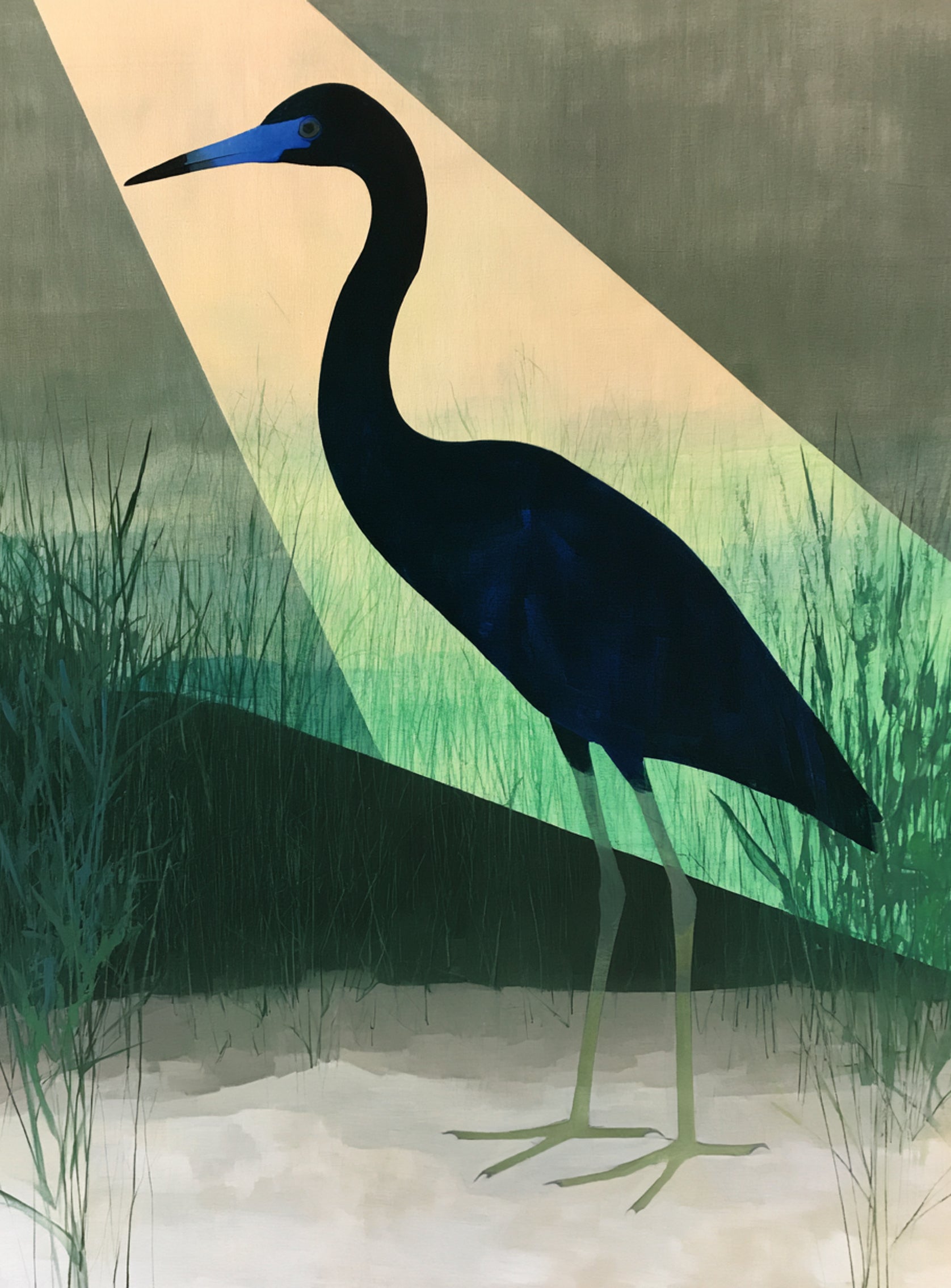 Blue beak in green light