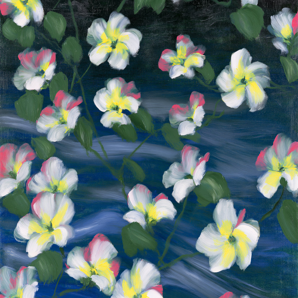 White flowers across deep blue