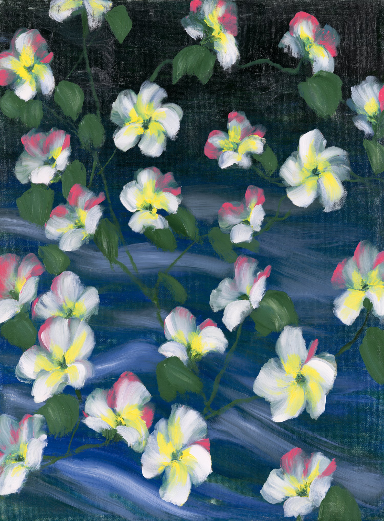 White flowers across deep blue