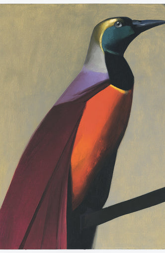 Bright bird on a branch