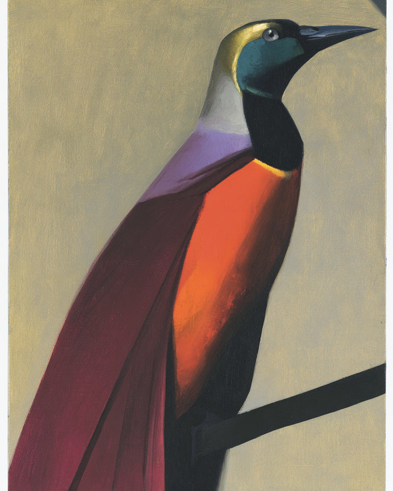 Bright bird on a branch