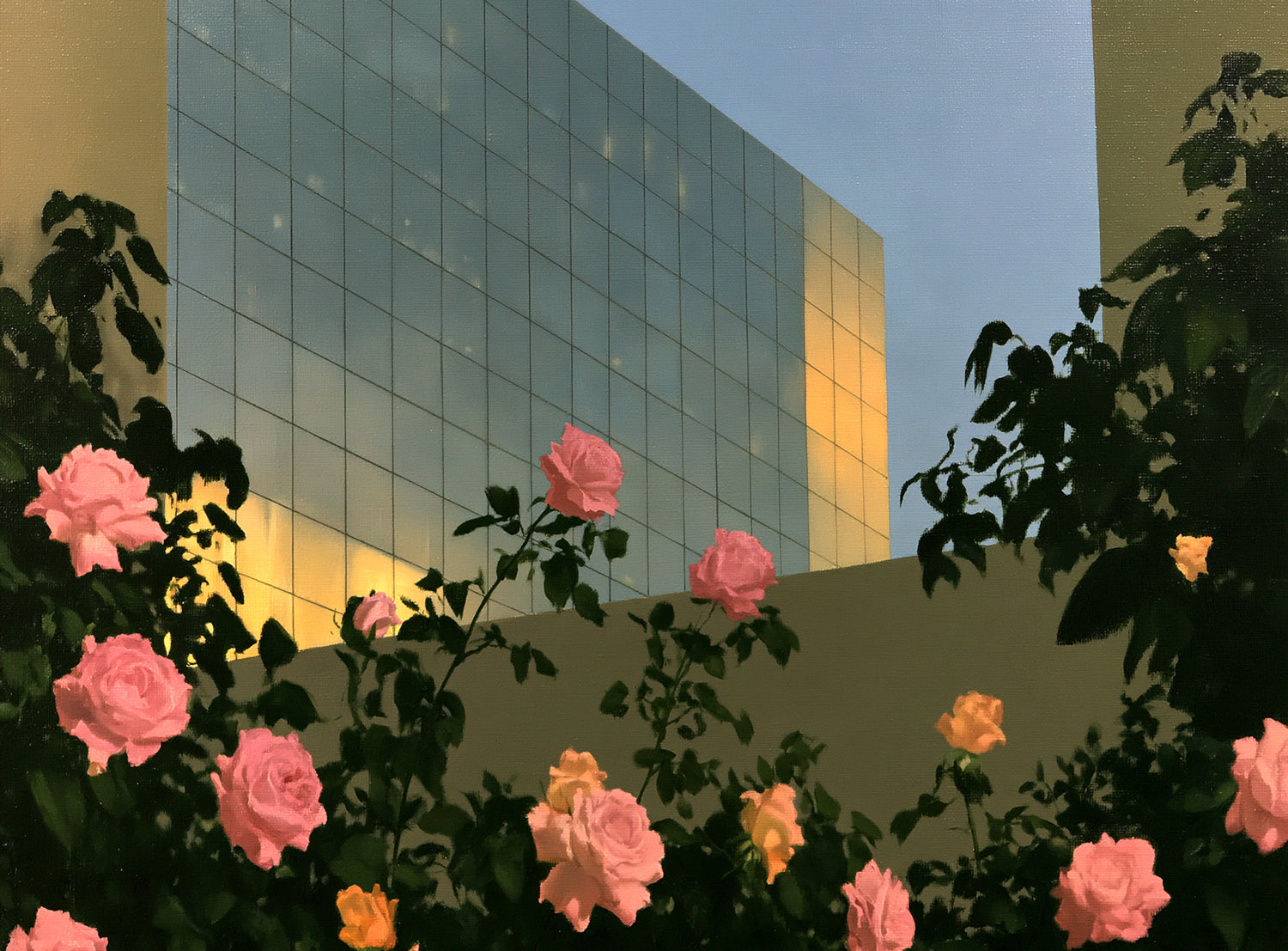 Roses against the glass wall