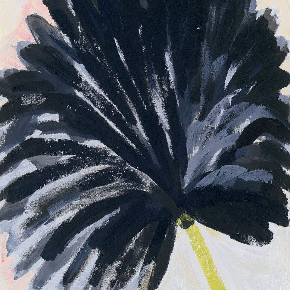 Black petals in pale light