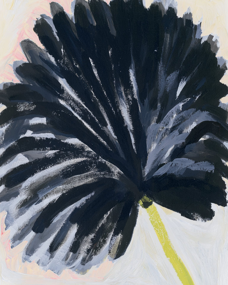Black petals in pale light