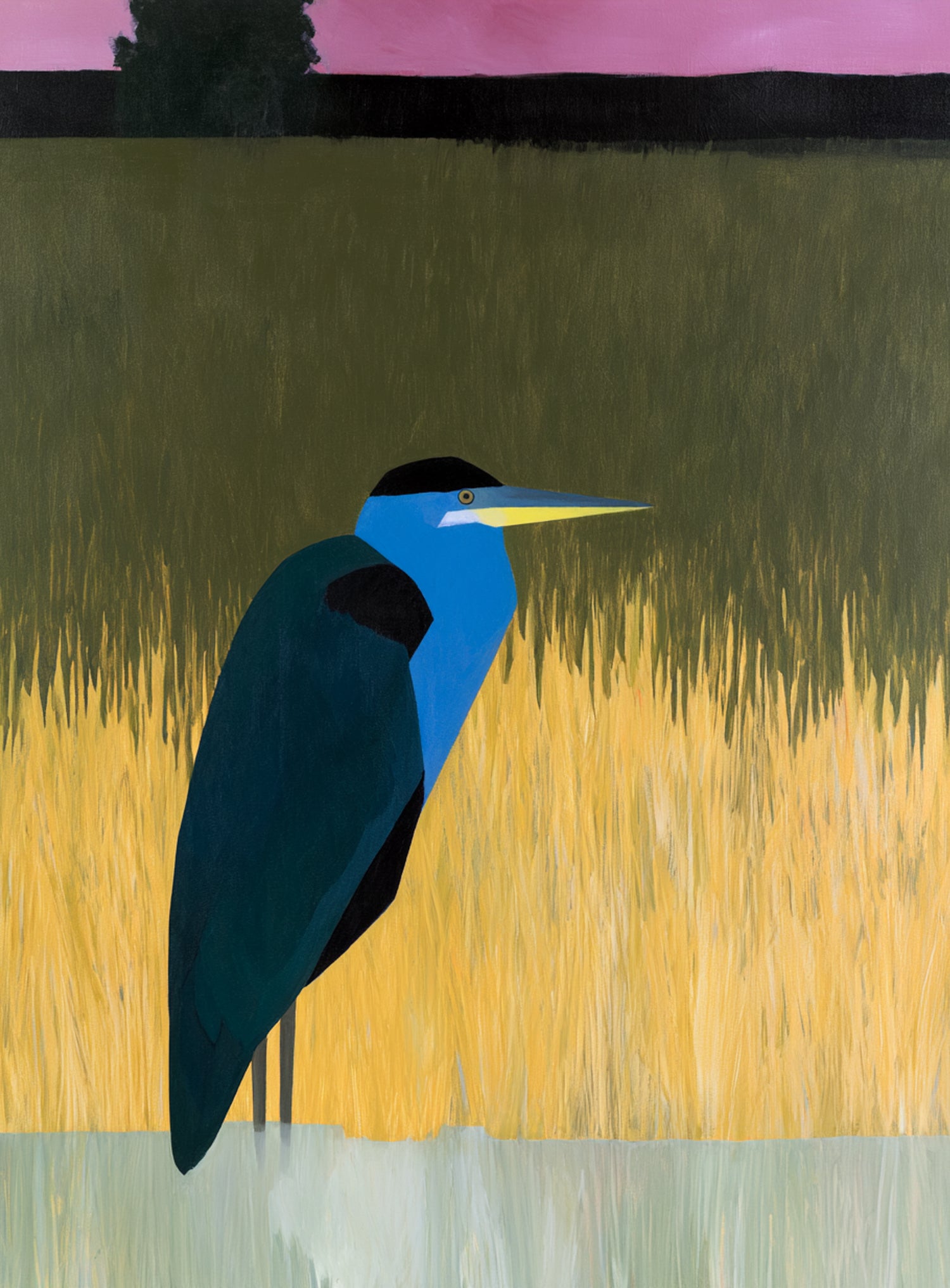 Blue bird in yellow grass