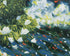 White petals on blue water