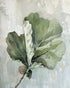 Green leaves in pale wash