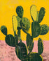 Green pads in yellow sky