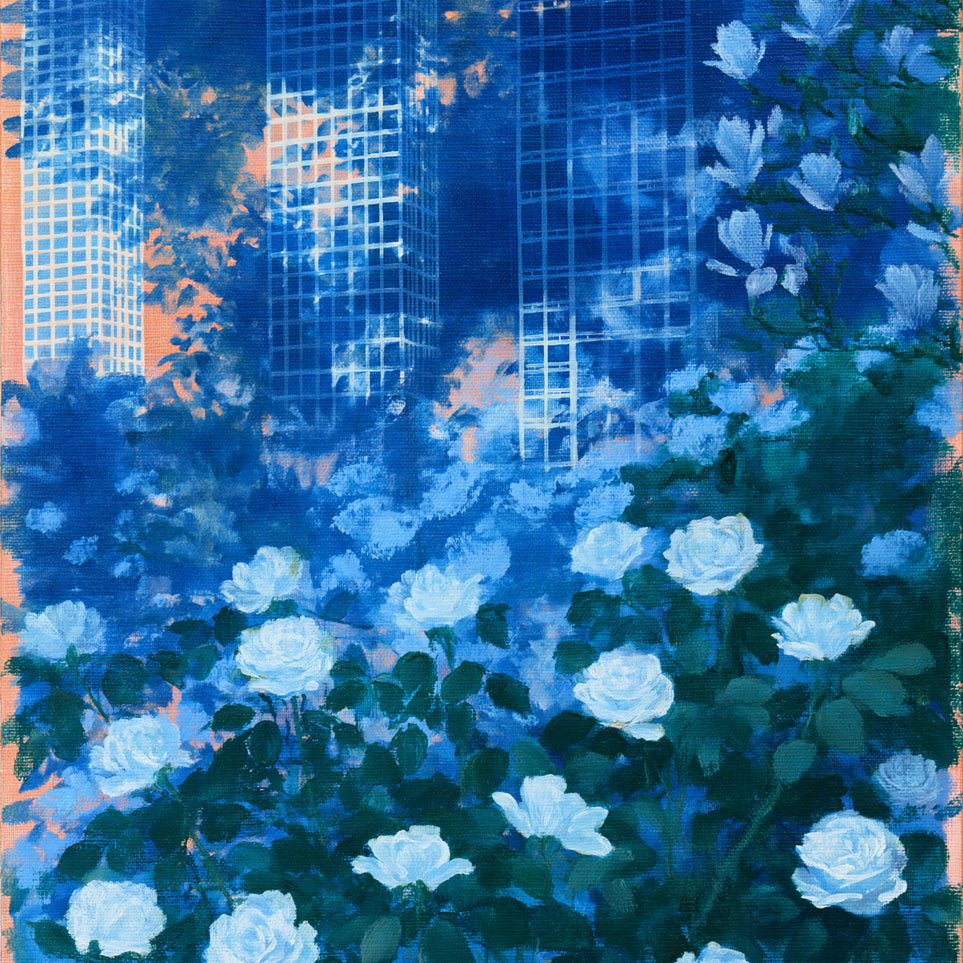 White roses before the towers