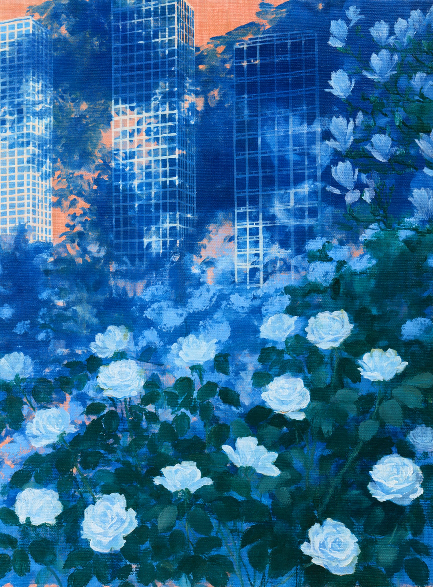 White roses before the towers