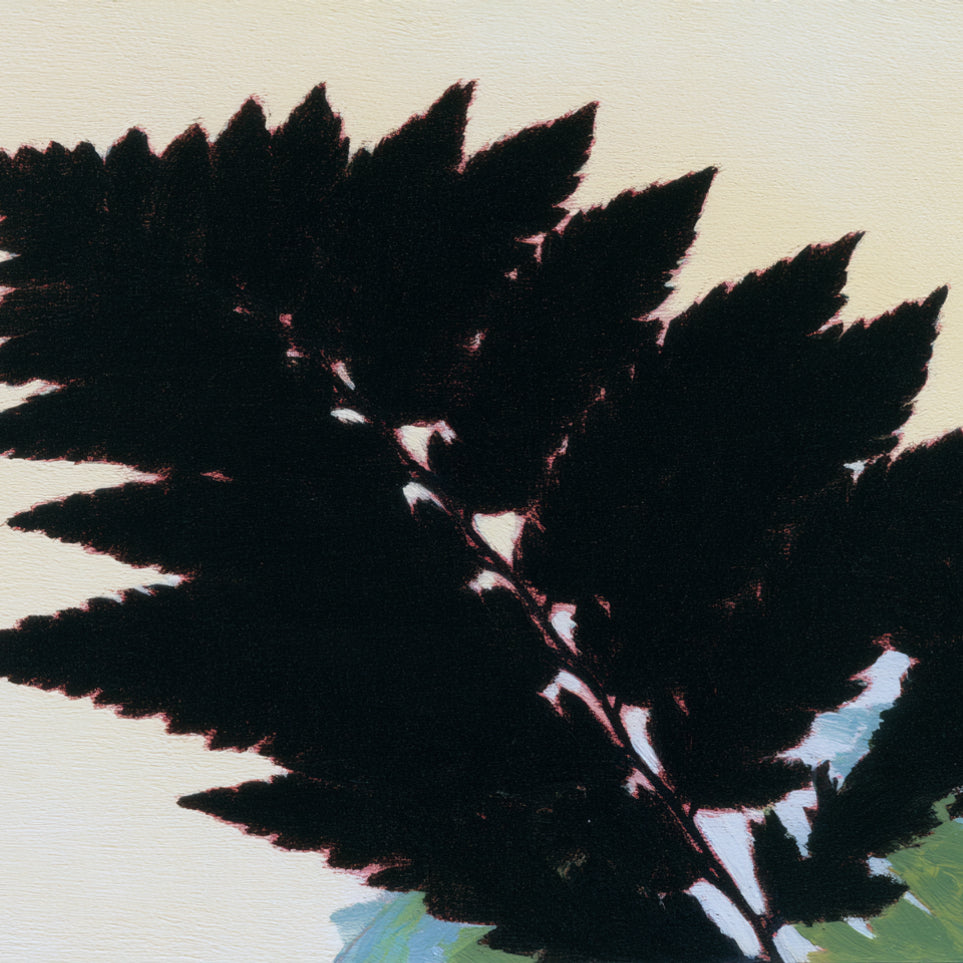 Black leaves on pale ground