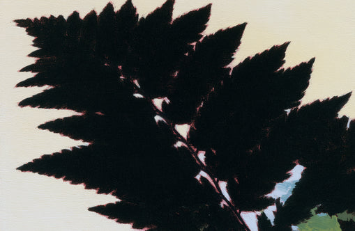 Black leaves on pale ground