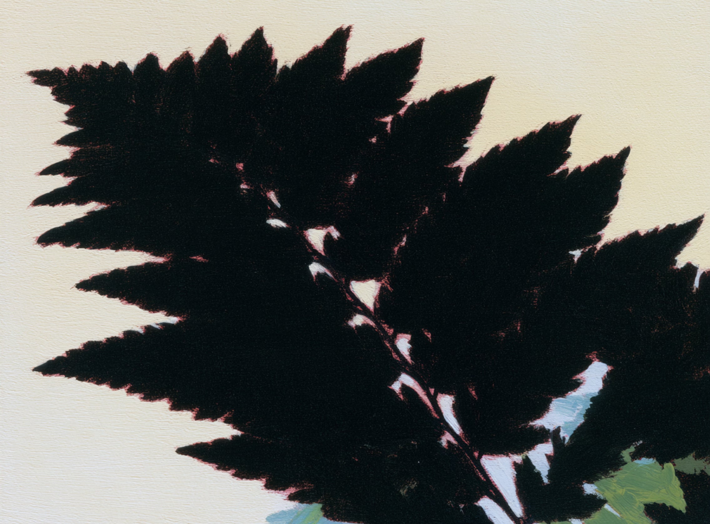 Black leaves on pale ground