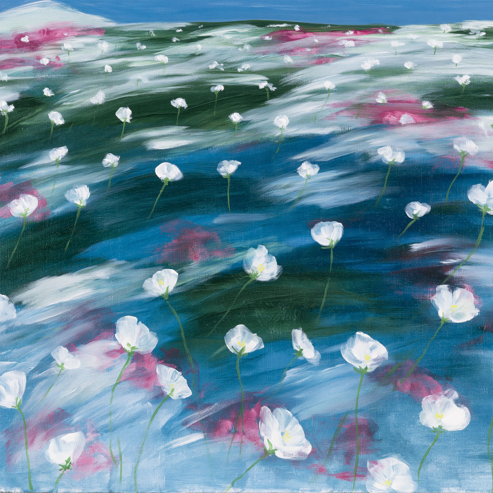 White flowers in windblown hills
