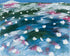 White flowers in windblown hills