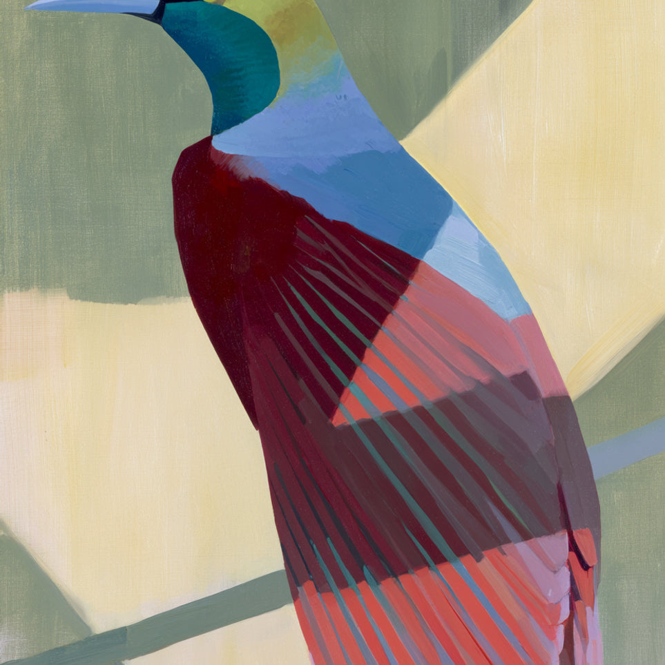 Teal throat on maroon wing