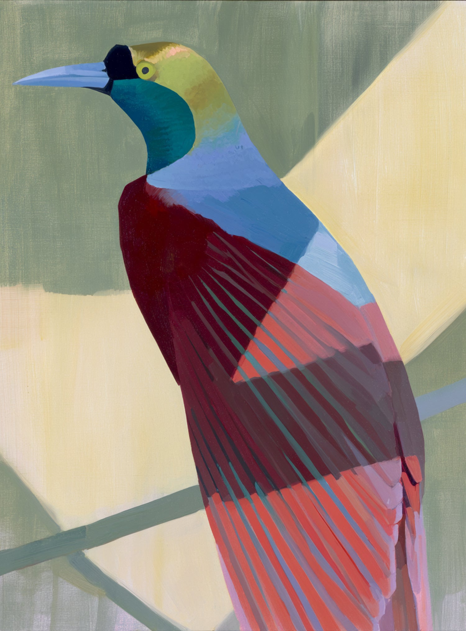 Teal throat on maroon wing