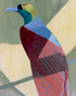 Teal throat on maroon wing