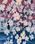 Blossoms across red windows