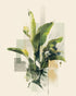 Tropical leaves in soft grids
