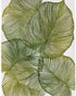 Palm leaves pressed together