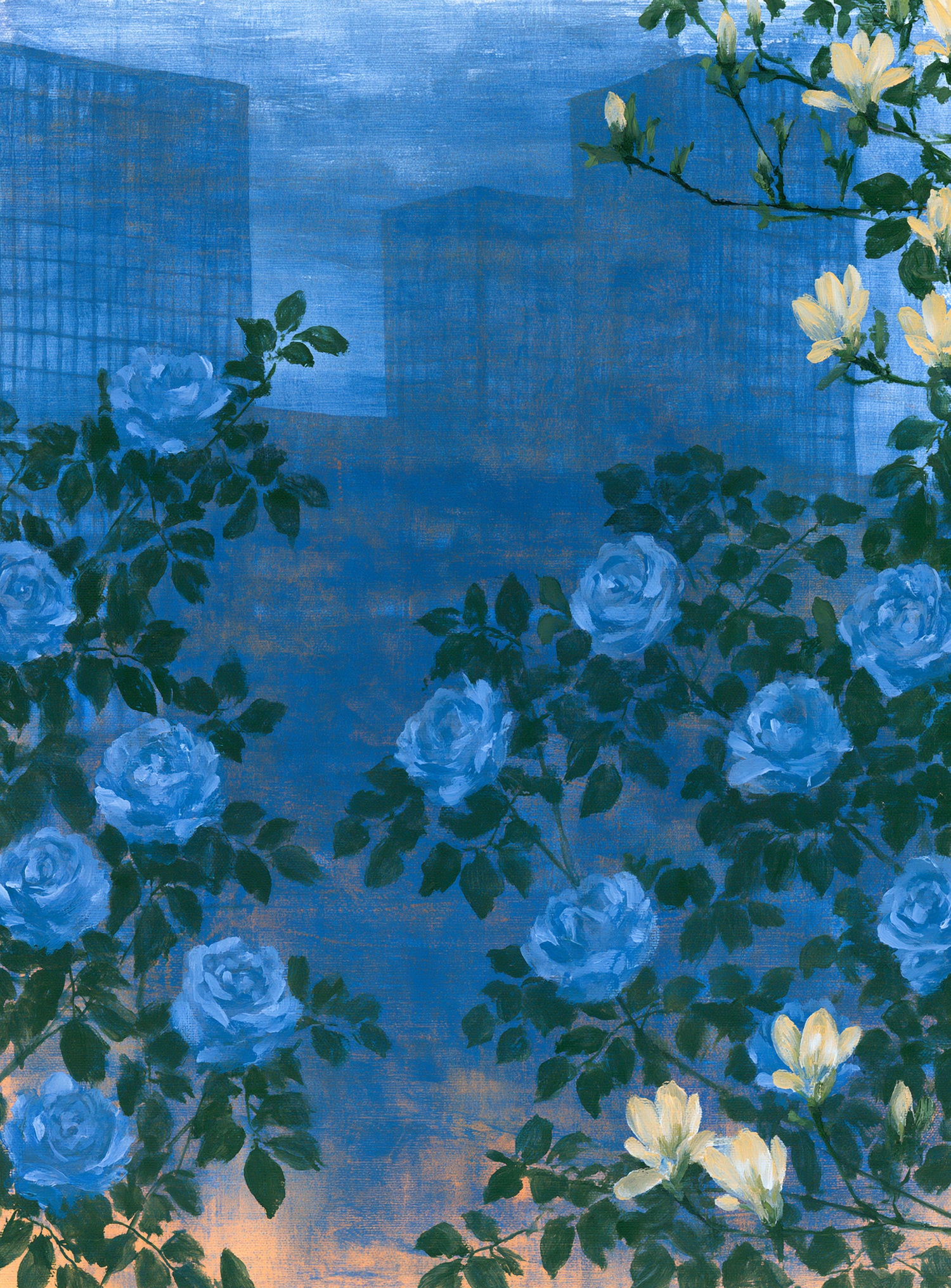 Roses against the blue towers