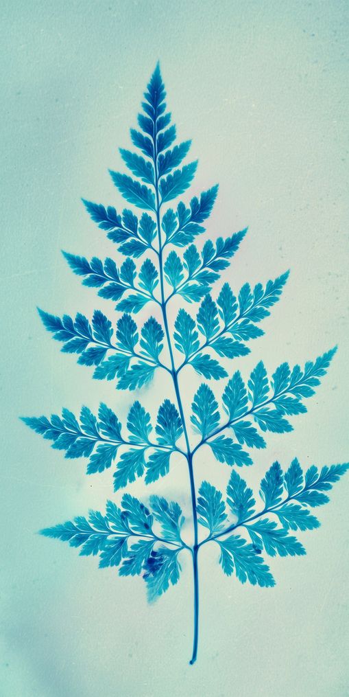stems and leaves