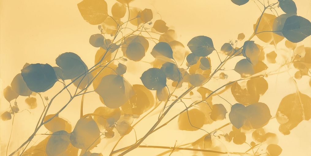 Branches Crossing the Field of Light